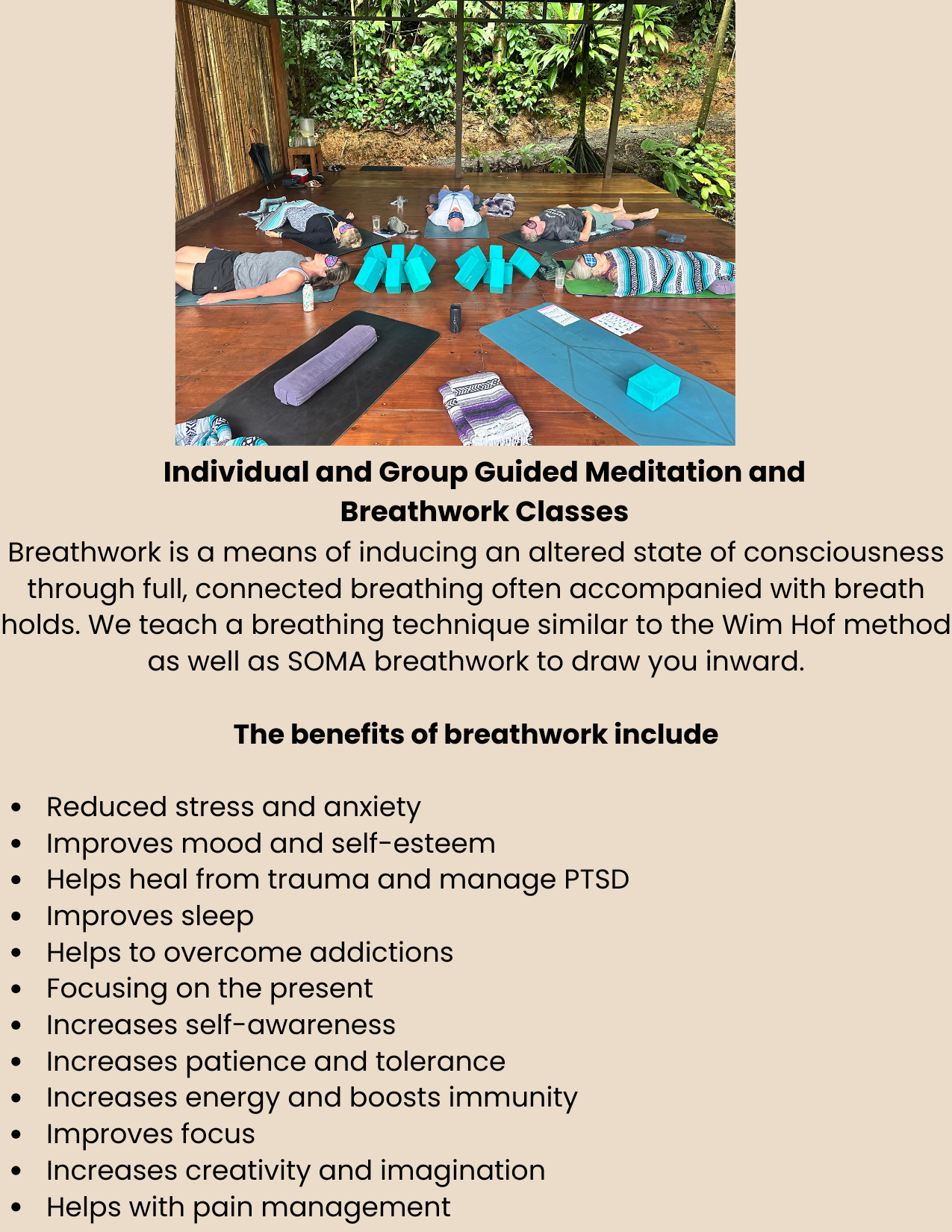 In Person 1:1 Breathwork Class (Mooresville, NC)